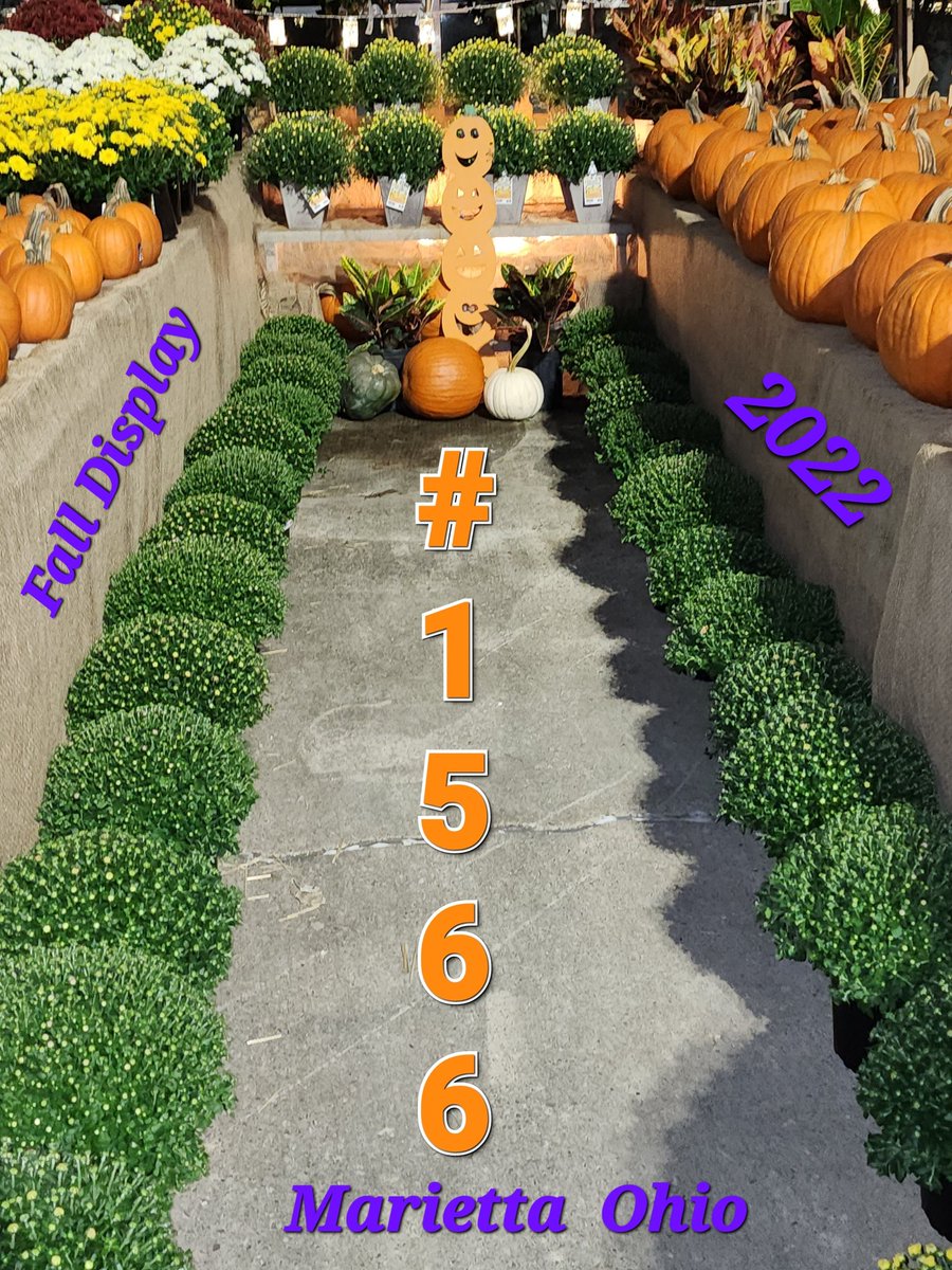 Tracey78696997's tweet photo. Fall display challenge 2022
@CongerJared @JBBailey9 @BenitoKomadina @BoltzBill @JoeMcFarland_ https://t.co/BEqhnT9E3d