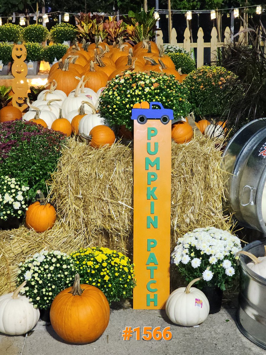 Tracey78696997's tweet photo. Fall display challenge 2022
@CongerJared @JBBailey9 @BenitoKomadina @BoltzBill @JoeMcFarland_ https://t.co/BEqhnT9E3d