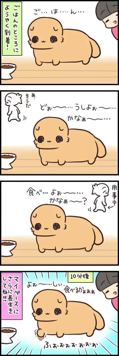 のんびり猫がさらに超のんび~り猫に。流れる時間はよりゆっくりに。【連載】もふもふスコたん#244|ねこのきもちWEB MAGAZINE https://t.co/Tt3sglncGK