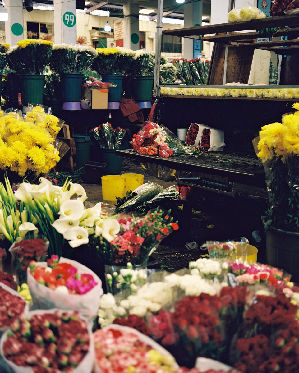 flowers on my mind 
#shotonfilm
