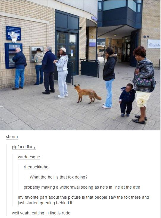 WholesomeMeme's tweet image. 