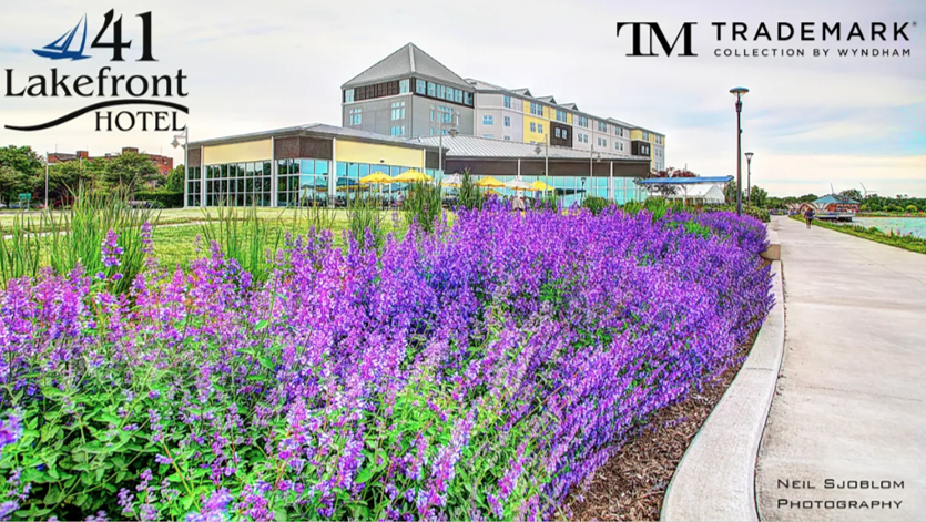 Attend a Live Conference  while enjoying the fall color season in New York State!  Visit I Love New York Folliage report site to learn more: iloveny.com/things-to-do/f…

conta.cc/3DGbint