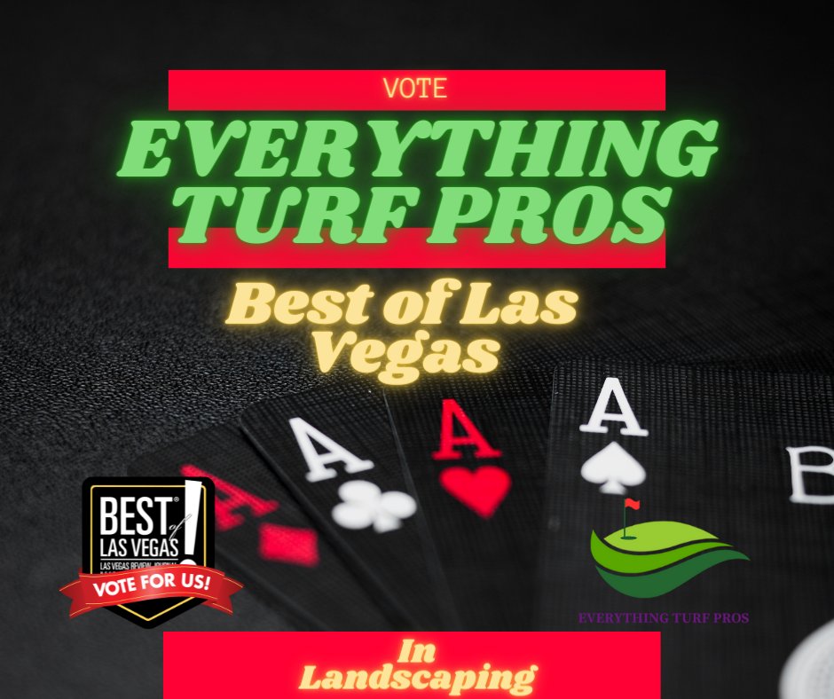 EverythingTurf's tweet photo. Just a little over 24 hours to go! Vote us Best of Las Vegas ➡ https://t.co/gSSb2xz2JH, select Home &amp; Garden, then Landscaping, choose Everything Turf Pros, and cast your ballot! 

https://t.co/Ktmbki5v6p

#BestOfLasVegas #EverythingTurfPros #LasVegas #ArtificialTurf #VegasBaby https://t.co/v2lP3MZTp7