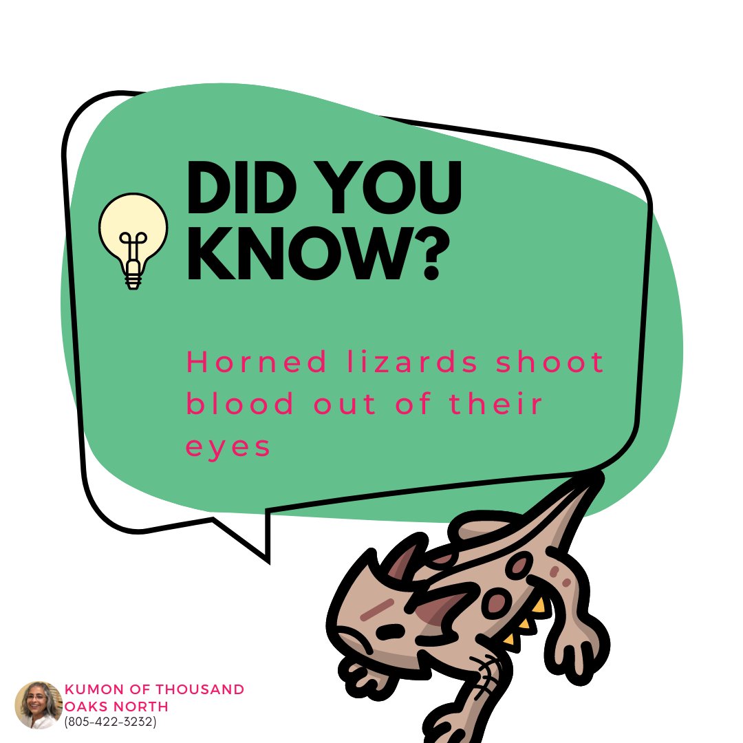 Curious minds love interesting facts! Here is a fun fact to share that will definitely catch your child's attention. Horned lizards do this to scare predators.

👉Follow us for more fun facts, riddles and educational content.
.
.
.
#kumonofthousandoaks #kumoncenter...