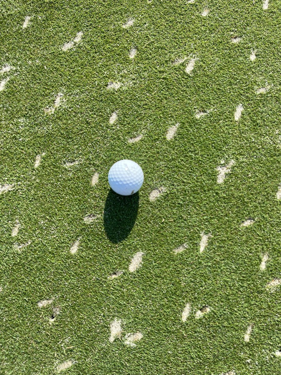 Hunter Salts tweet media