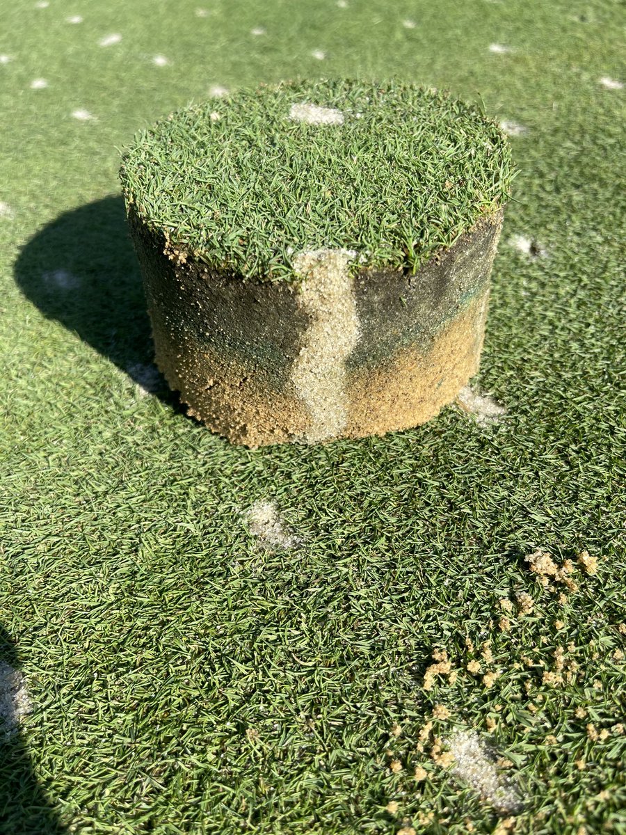 Hunter Salts tweet media