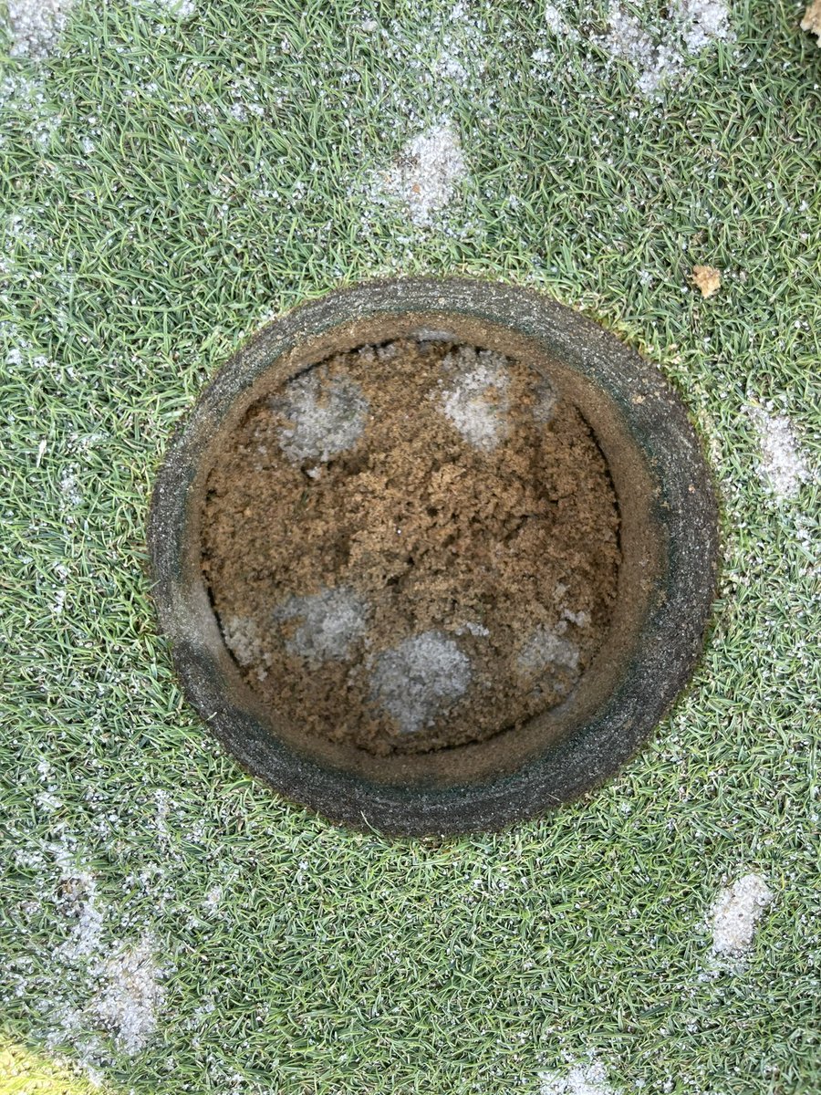 Hunter Salts tweet media