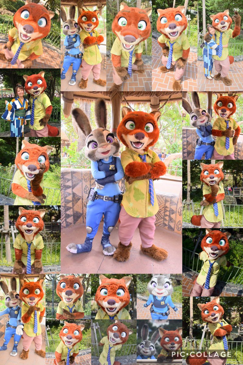 _dm_s2_'s tweet photo. ギデオンがいちばん🐱🎩💜 
ピノキオ🤥❤️ニック🦊🌴
ショーパレ💃グリ🗣

ユニバ年パス🌎𓂃𓈒♡
クッキーモンスターが好き🍪💙

日常も呟きます📝フォローご自由に！
#twitter上にいるDヲタ全員と繋がるのが密かな夢だったりする
#ディズニー好きな人と繋がりたい
#Dヲタさんと繋がりたい https://t.co/c9wNW9M2SP