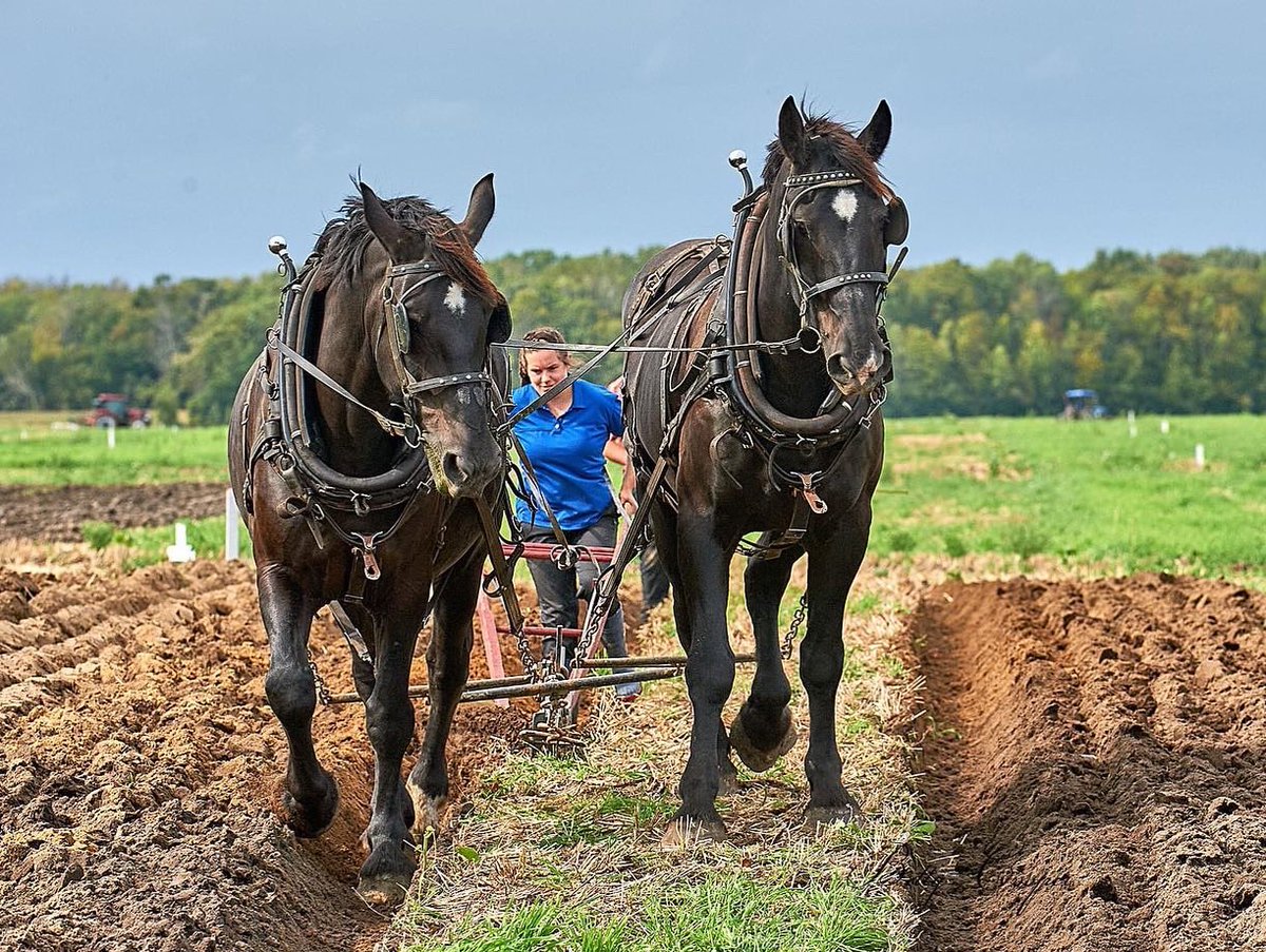 2022 International Plowing Match & Rural Expo tweet media