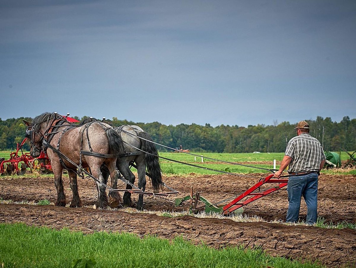 2022 International Plowing Match & Rural Expo tweet media
