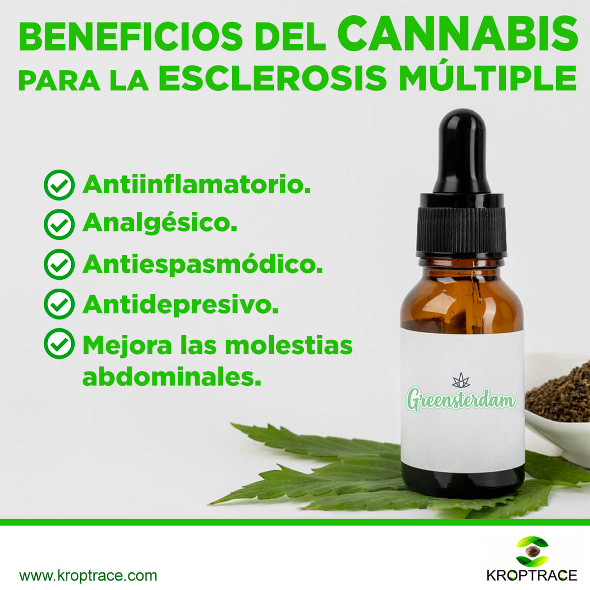 greensterdam's tweet photo. YOUR ULTIMATE ERP + CANNABIS SEED TO SELL SOFTWARE
👩‍🌾 Agricultura inteligente

El cannabis puede ser beneficioso para disminuir el dolor, los problemas musculares y otros efectos de las esclerosis múltiple.

📲 +51 977 337 423 
📩 kroptrace@gmail.com
🌐 https://t.co/1eAfi7Tc4b https://t.co/t0GZZg3TSv