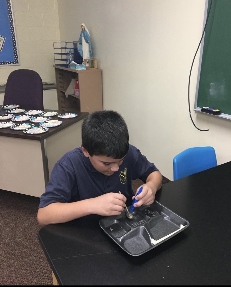 5th grade Owl Pellet Dissection.