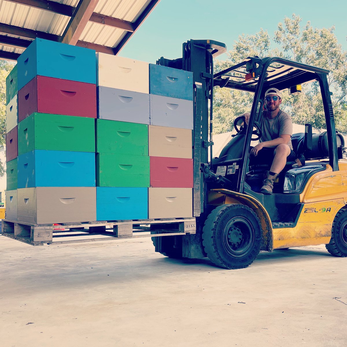 Roger Jackson tweet media