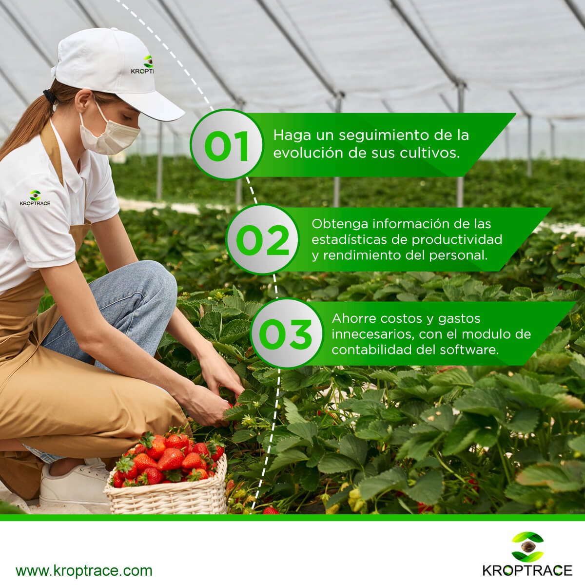 greensterdam's tweet photo. KROPTRACE SEED TO SALE / ERP / CRM

Proporciona servicios tradicionales de ERP, trazabilidad y CRM, mejore su productividad y eficiencia operativa con nuestro software de gestión de cultivos.

📲 +51 977 337 423 
📩 kroptrace@gmail.com
 https://t.co/1eAfi7BAFB https://t.co/joF8Mu187T