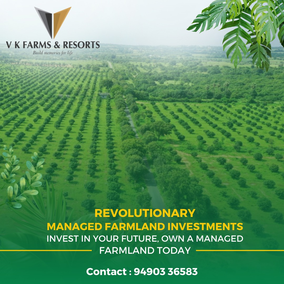 VkfarmsA's tweet photo. Revolutionary Managed Farmland Investments Invest In Your Future , Own a Managed Farmland Today.
.
.
 #vkfarms #farmlands #farmlandsinhyderabad #farmlandscapes #farmlandscape #farmlandsrealestate #Farmlands #farmlandscup #farmlandsforsale #openplots #openplotsforsale https://t.co/z5JLLSgfMw