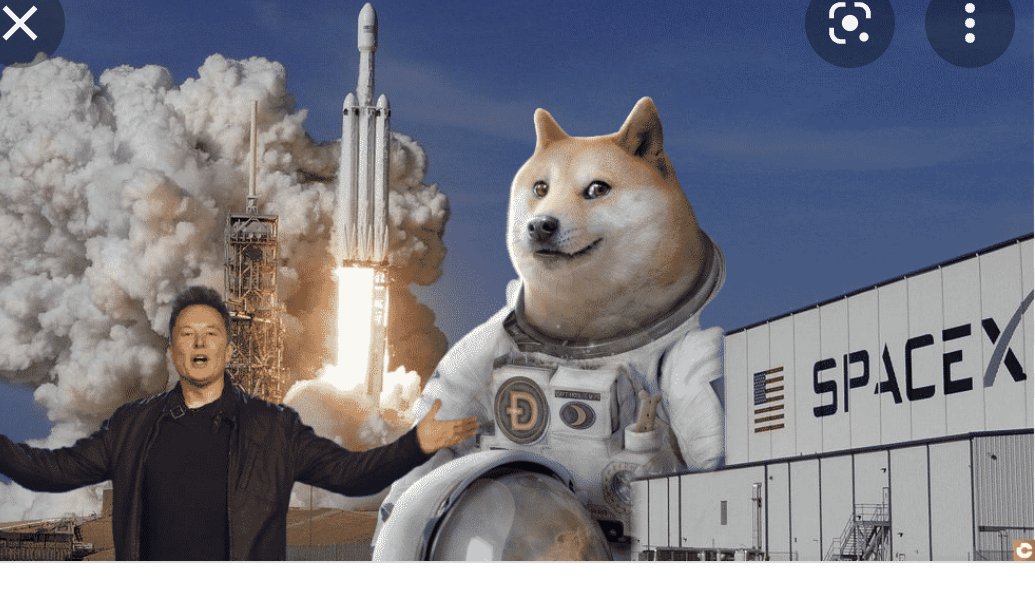 iamtommyami's tweet photo. Just a matter of time., Thanks to @elonmusk ,@SpaceX  , @dogecoin.  @tothemoon. ,@profits... https://t.co/0SzzBDd2hh