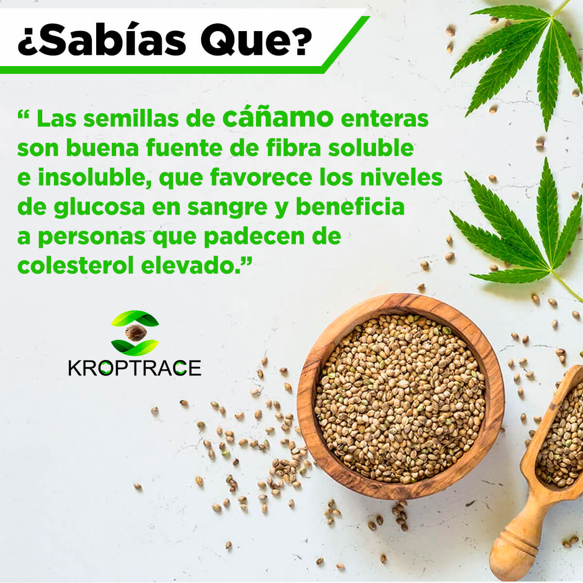 greensterdam's tweet photo. YOUR ULTIMATE ERP + CANNABIS SEED TO SELL SOFTWARE

Las semillas de cáñamo son un cereal muy energético con alto contenido en omega 3, que ayuda a combatir problemas como el colesterol.

📲 +51 977 337 423 
📩 kroptrace@gmail.com
🌐 https://t.co/1eAfi7Tc4b https://t.co/5592ggyJur