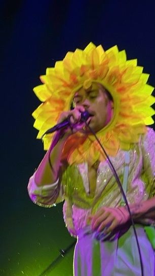 gilmorehrry's tweet image. late but happy spring! 🌻