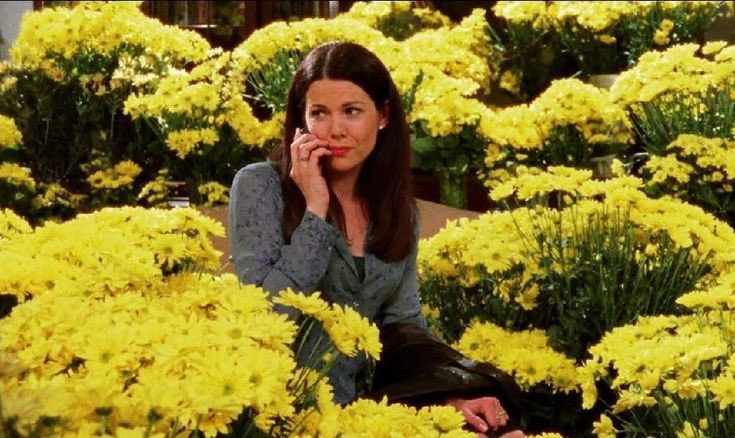 gilmorehrry's tweet image. late but happy spring! 🌻