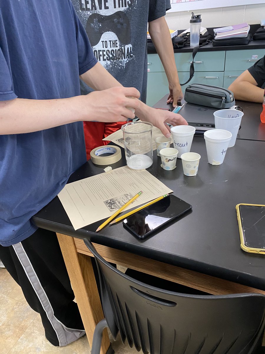 wdhsbowles's tweet photo. 2 labs equals 2 times the fun! Environmental students studying energy transfer and biomagnification! #wdbobcats #envisci #energyinquiry https://t.co/rYWRuWGN8f