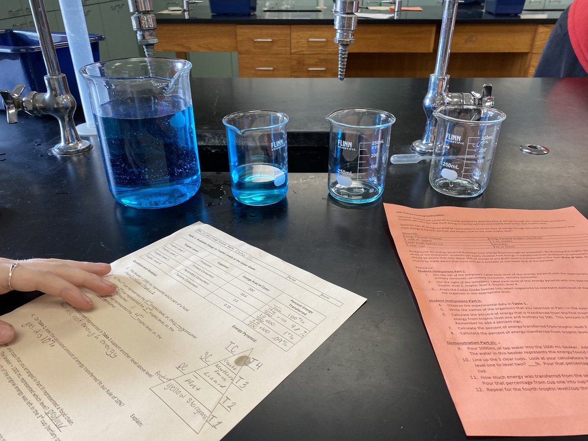 wdhsbowles's tweet photo. 2 labs equals 2 times the fun! Environmental students studying energy transfer and biomagnification! #wdbobcats #envisci #energyinquiry https://t.co/rYWRuWGN8f