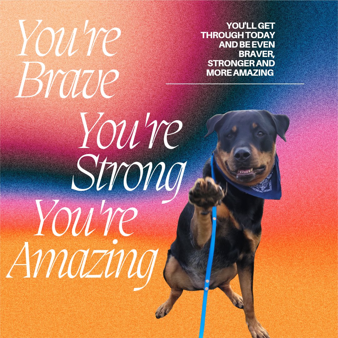 servicerotties's tweet photo. Did you have a ruff day?

Just remember that you're far more capable than you give yourself credit for. 
You are amazing!

#pawsitivethinking #WoofsOfWisdom https://t.co/o2LxGOtR5e