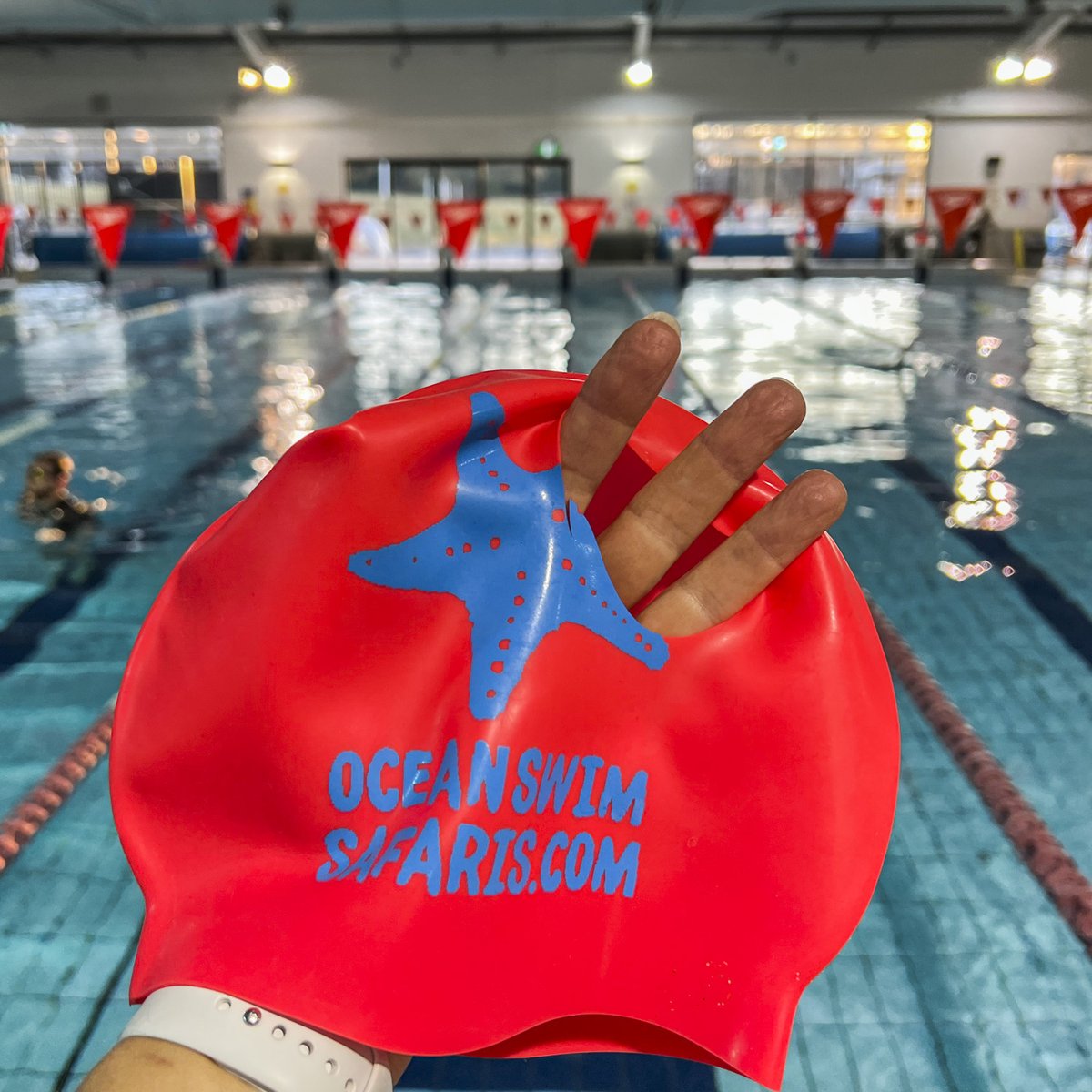 Just look at what my naughty pup has done to my best swimming cap!!  Maisie - you hound.

I'm going to cry <a href="/OceanSwimSafari/">oceanswimsafaris</a> <a href="/novasloof/">Novasloof</a> and I clearly need to start thinking about booking an ocean swimming holiday for 2023. It's a sign!!

I do still wear the cap, mind you.