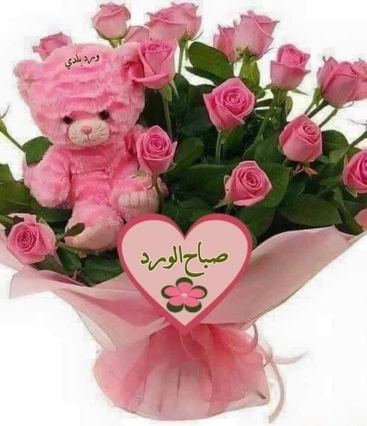 DgDpkn's tweet photo. @DlU866DpGyAq978 https://t.co/eoCgejWt4H
