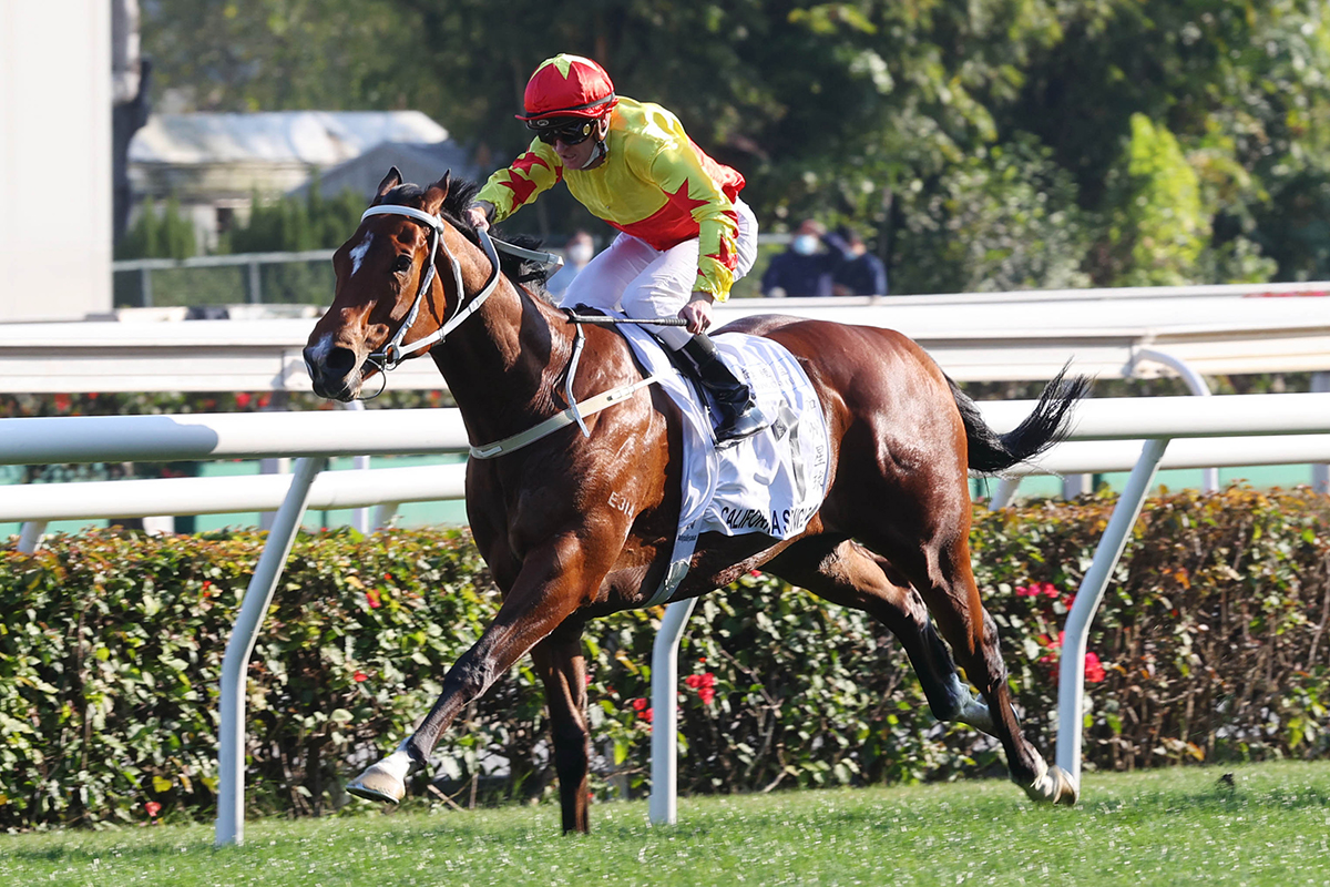 Declarations are out for Sunday's (25 September) 10-race fixture at Sha ...