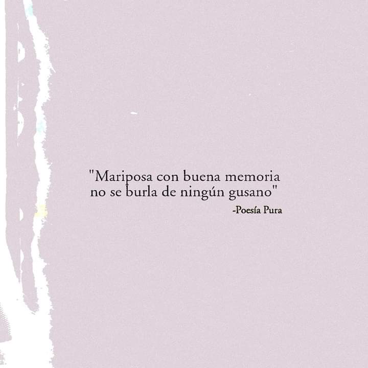 maritayaconis's tweet photo. https://t.co/7l883P8C4m