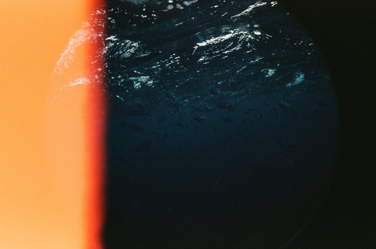 Berhasil motreeeet Mantaaa 💙
#filmneverdie 
-
Kodak gold 200 - cam: Lomofisheye 2.0
Devscan <a href="/hipercatlab/">hipercat lab</a> #Hipercatlab  

From this                          to This