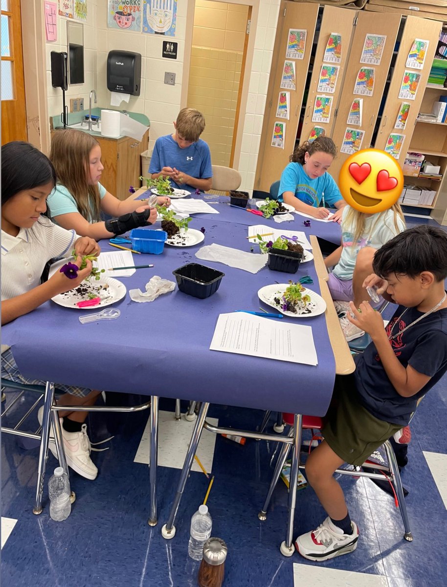 Christina Harris tweet media