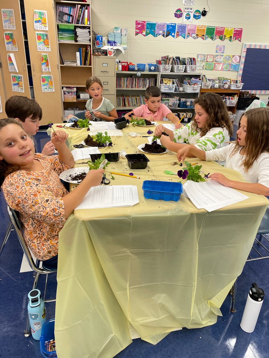 Christina Harris tweet media