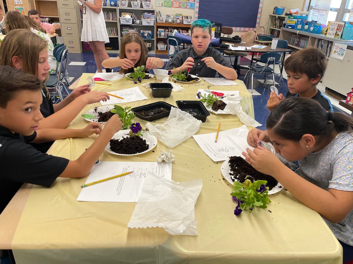 Christina Harris tweet media