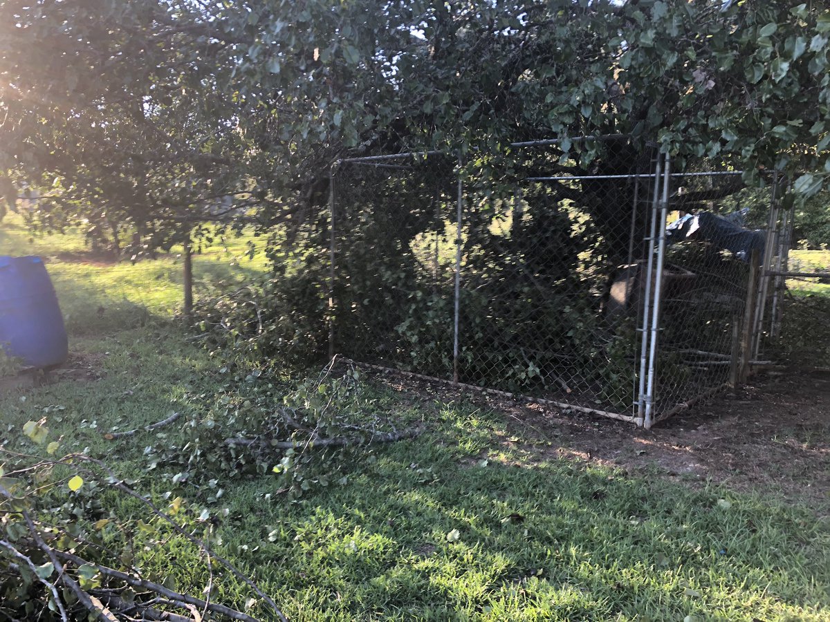 MikeGillespie23's tweet photo. Huge thanks @DukeEnergy &amp; @Asplundh_Tree for surprise visit. No advanced warning, no opportunity to properly trim trees up drive &amp; always great to have dog kennel, chicken coop and basketball goal damaged. Several calls later and still nothing. Great customer service! https://t.co/9Rts0YRjCL