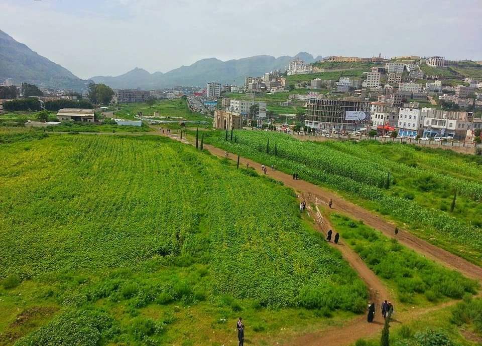 ,,والصبح إذا تنفس ،،
إب