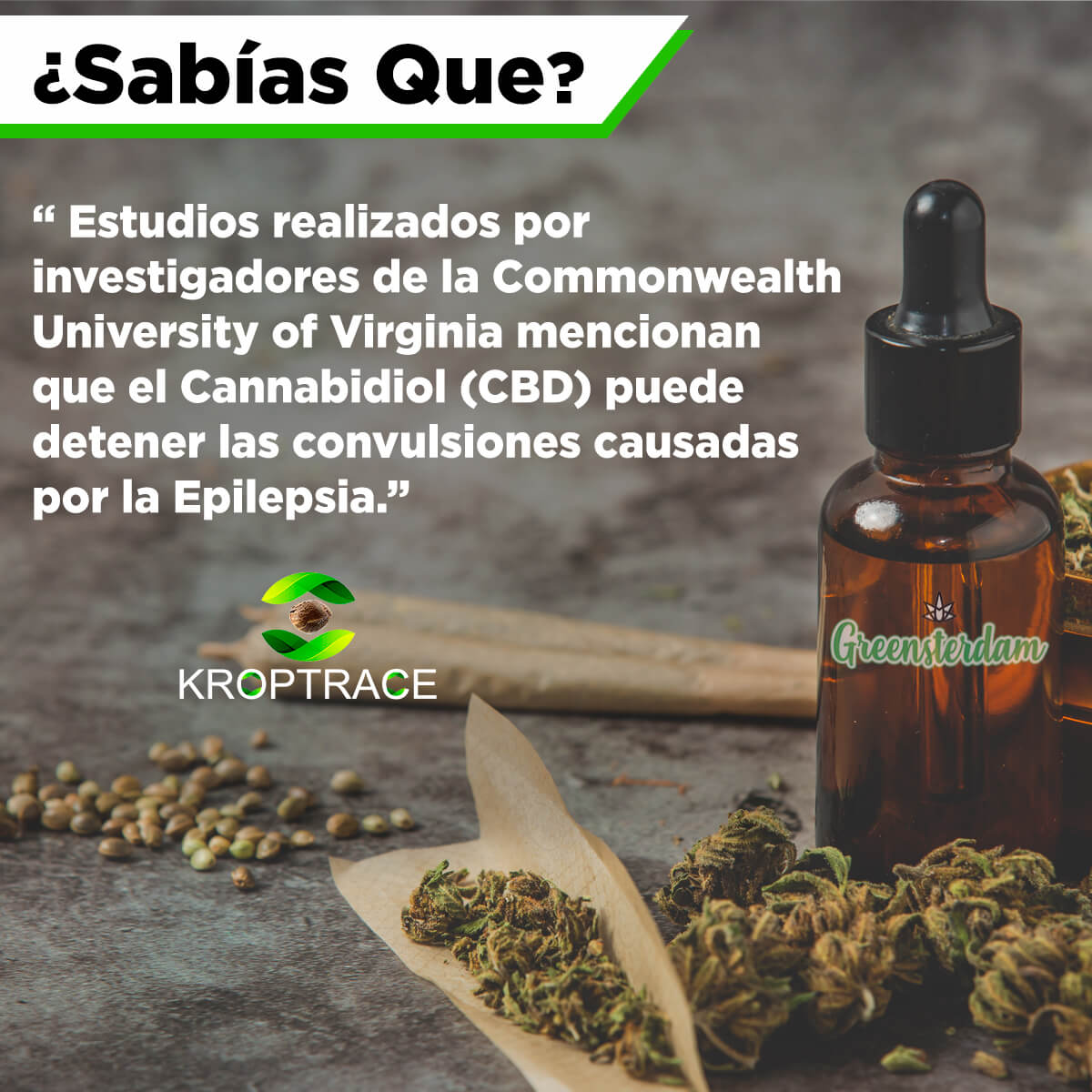 greensterdam's tweet photo. Se ha evidenciado que el (CBD) tiene eficacia en el control de crisis del síndrome de Dravet y de Lennox-Gastaut , dos tipos de epilepsia que suelen tener poca respuesta a la medicación convencional.

📲 +51 977 337 423 
📩 kroptrace@gmail.com
🌐 https://t.co/1eAfi7Tc4b https://t.co/5kgP22oCVJ