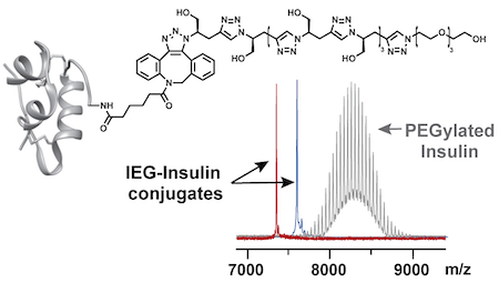 Congratulations to Dr. Wencong Wang (<a href="/wwang/">Wei Wang</a>) &amp; team on their new JACS paper presenting proof-of-concept for a new approach to polymer–polypeptide/protein conjugation offering opportunities for the generation of diversely functionalized conjugates.

pubs.acs.org/doi/full/10.10…