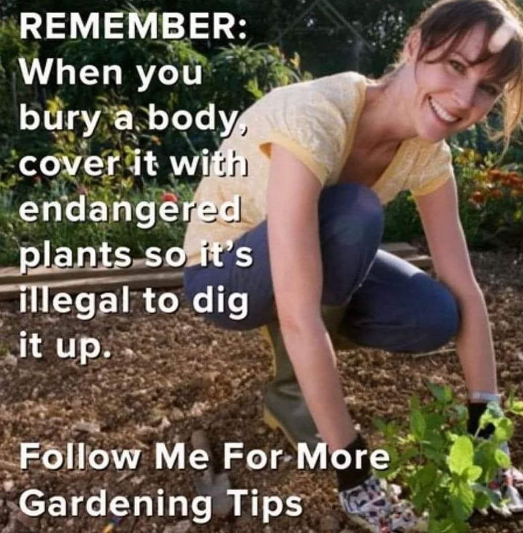 rayseewriter's tweet photo. Gardening tips for #CrimeWriter 's or #murderers #isthereadifference https://t.co/IFUGuzeZvz