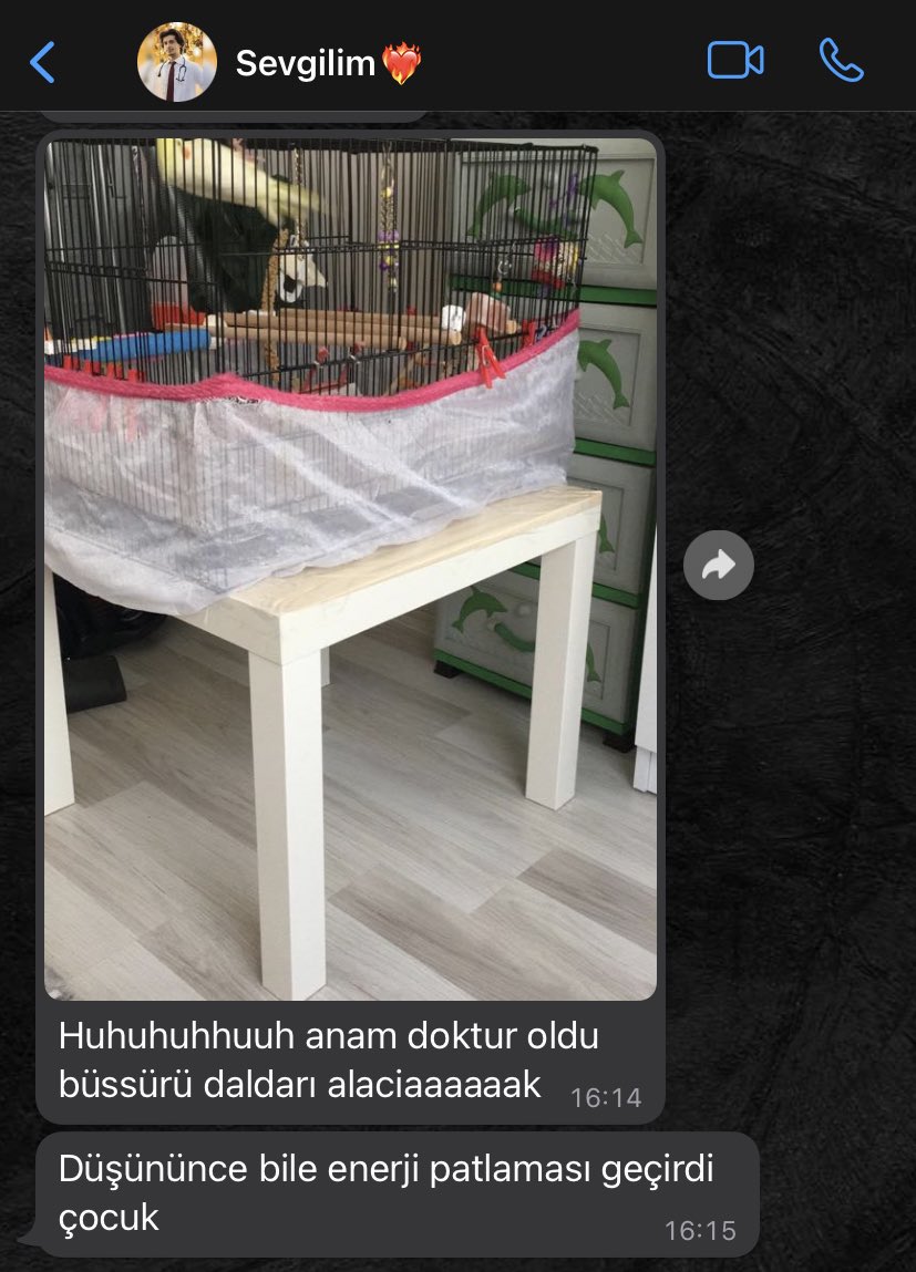 prsln's tweet photo. Anacuun sana bissssürü dal darı alabilmek için nöbette görevinin başında oy gagasını yediğim…04.48…🤓 https://t.co/Yr59haf3H7