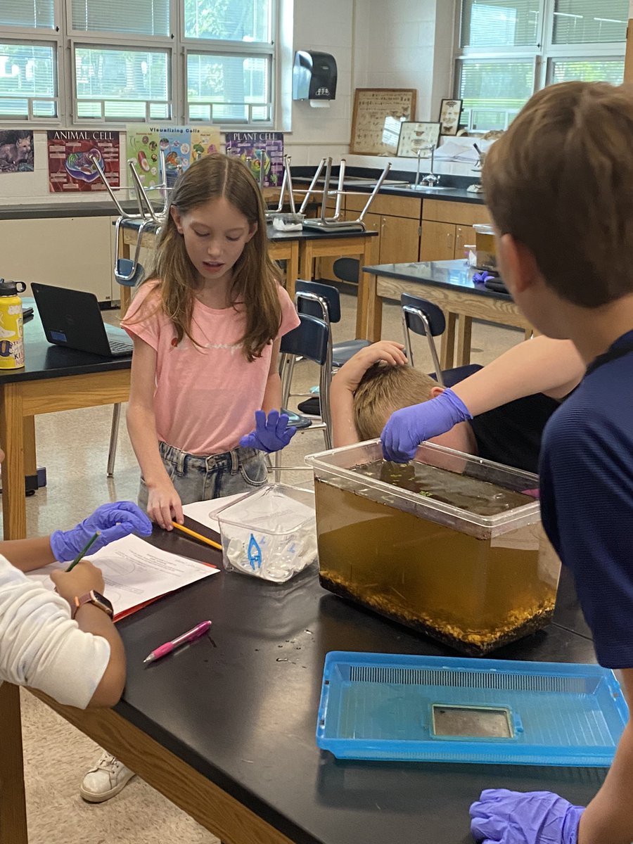 Investigating their findings, tomorrow they continue collecting their data!! #middleschoolscience <a href="/sms6West/">SMS6West</a> <a href="/AHSD25South/">South Middle School</a>