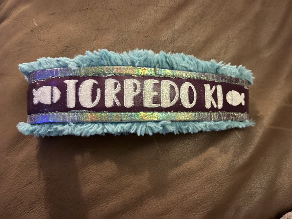 TeamFGBC's tweet image. She’s a #torpedo #puppy and had to make her something fitting. #DogsOnTwitter #dogsoftwitter