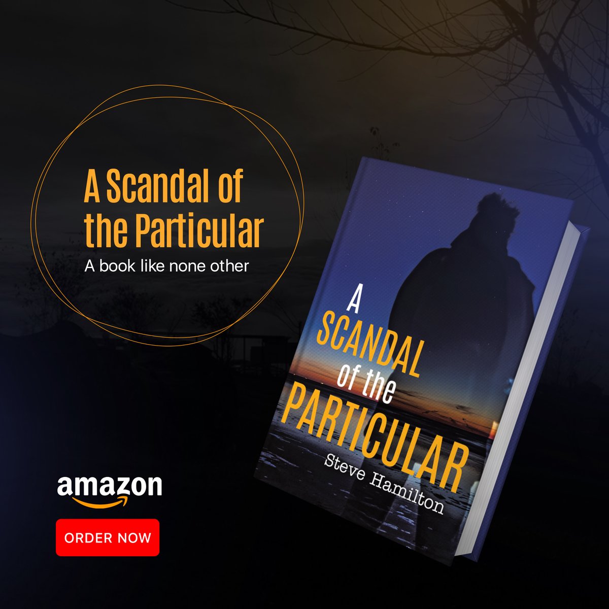 steve_author1's tweet photo. Reading this book will help you identify how crime is committed, how the guilty are prosecuted, and how the law is above all notions of reality.

Order Now:
https://t.co/X57po83V69

#SteveHamilton #crimethriller #scandaloftheparticular #reading #Crime #law #guilty #prosecuted https://t.co/LQoUMpLwKD