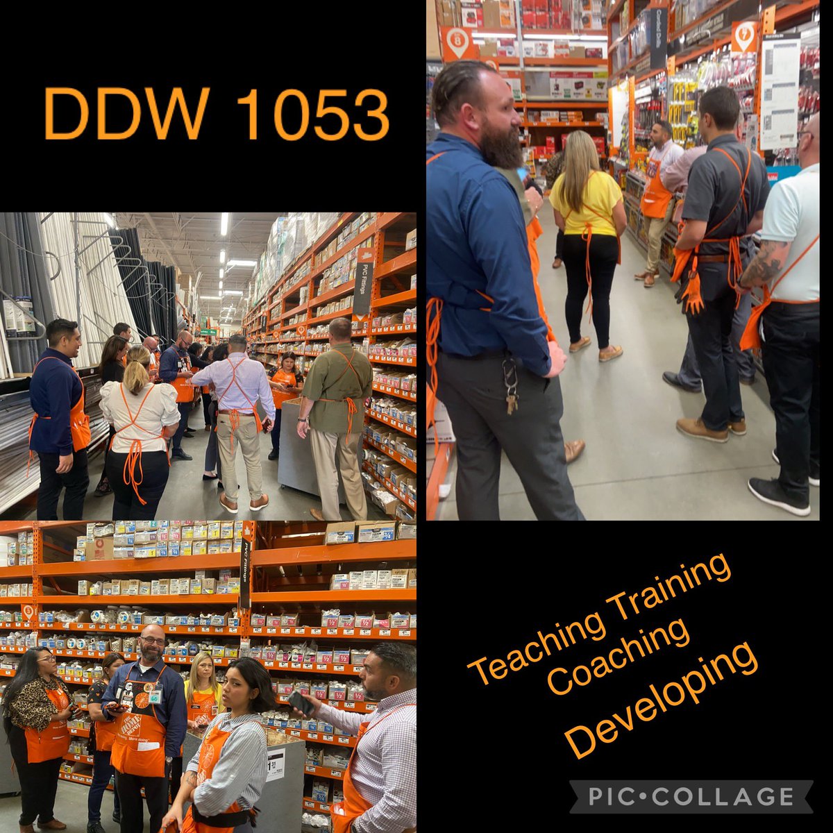 Erica Coito tweet media