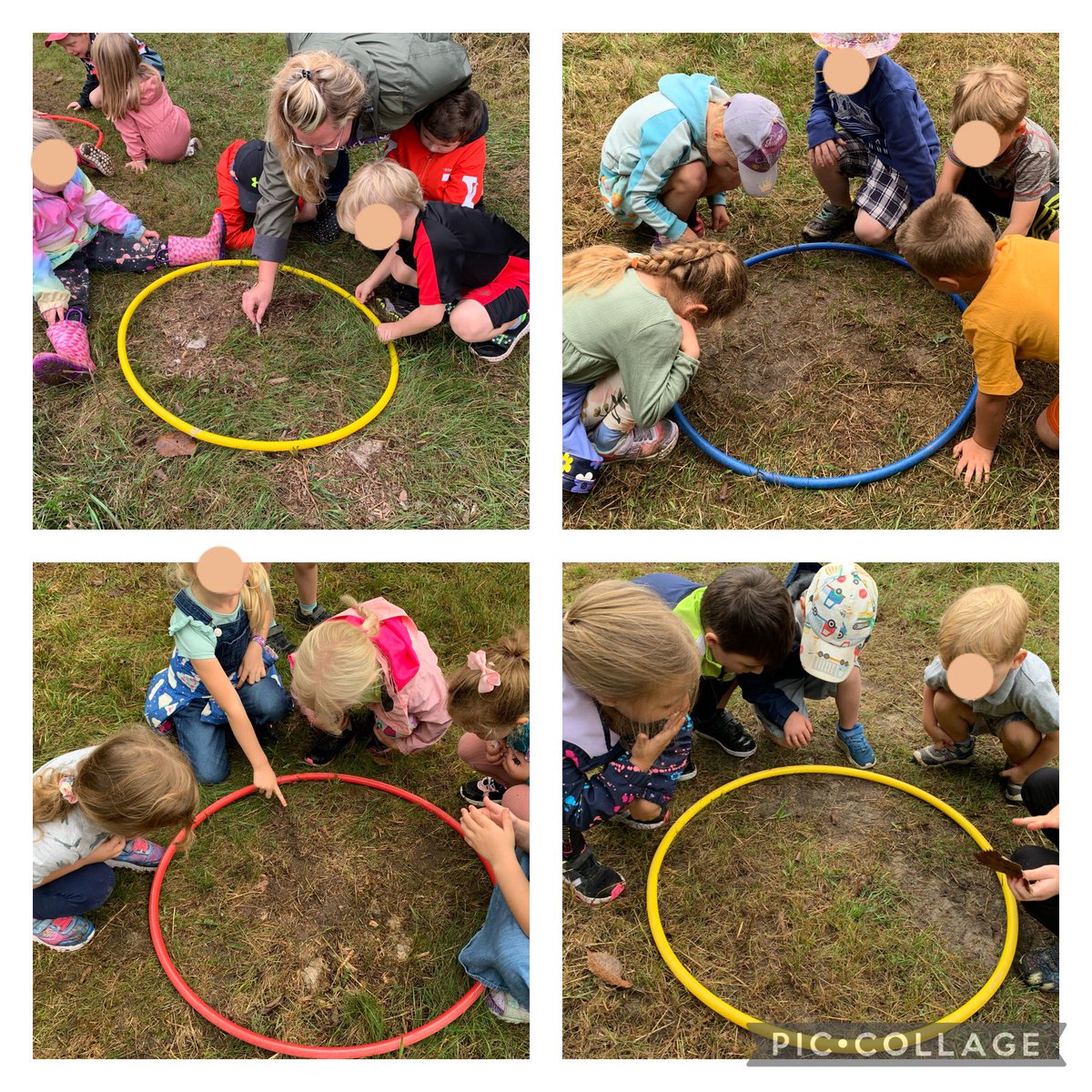 Students in KMB <a href="/StirlingPS/">Stirling PS</a> explored a new area of the Learning Forest today .  They used hoops to investigate the ground and share what they saw within the circle . Micro hikes are a great way to explore! #learningforest #investigate #worms #dirt #leaves #holes #microhike