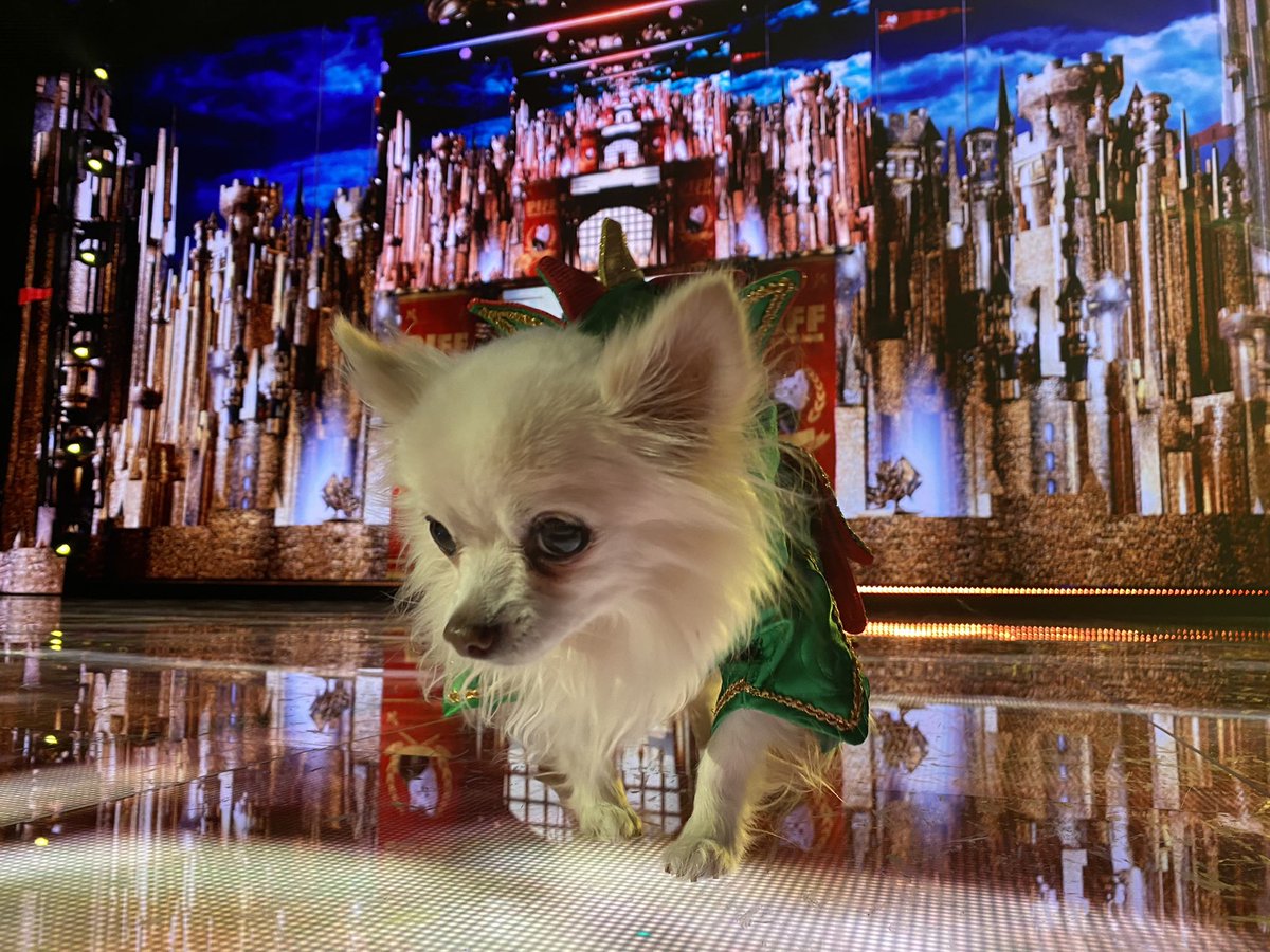 thepiff's tweet photo. Sissy that walk https://t.co/KwVPxPJdJZ
