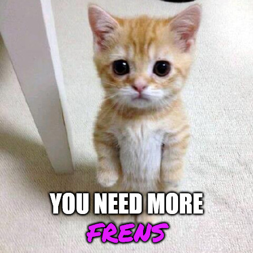frensplace's tweet photo. We could all use some additional frens!
Join Us!
https://t.co/us3OupN6rT
Discord --> https://t.co/JnytTQ9lra
Some cute tags
#NFT #NFTcommunity #NFTgroup #DAO #DAOgroup #DAOcommunity #DeFi #DeFigroup #DeFiCommunity #Web3 #BTC #Bitcoin #ETH #Ethereum https://t.co/0bo3JrGTRx