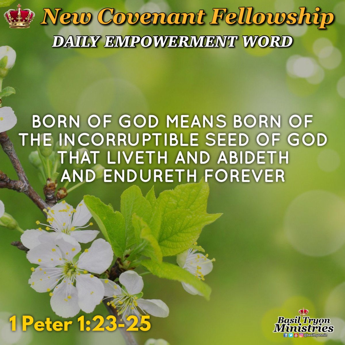 basiltryonmin's tweet photo. BORN OF GOD MEANS BORN OF THE INCORRUPTIBLE SEED OF GOD THAT LIVETH AND ABIDETH AND ENDURETH FOREVER (1 Peter 1:23-25)

#RAK #BTM #NCF #Born #God #Seed #Liveth #Abideth #Endureth #Forever #BasilTryon https://t.co/ia1C80iRjQ
