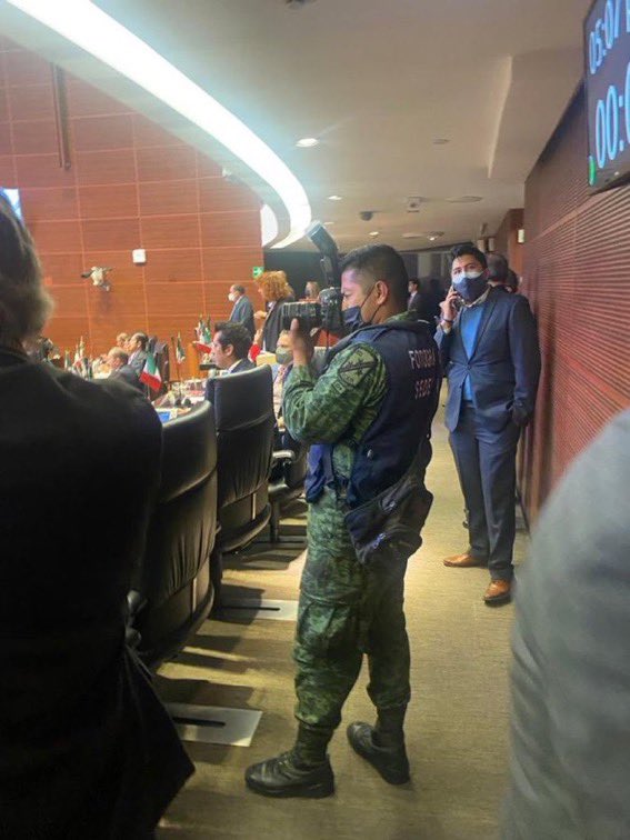 Mary Bunny 🐰 tweet media