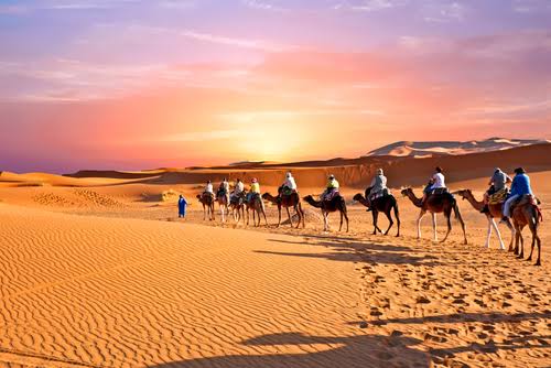 #Assalamu__Alaikum 

✍️...ज़िंदगी की सबसे बेहतरीन हिजरत गुनाहों से नेकियों की तरफ पलट जाना है..!!

<a href="/AayizA_Fatima92/">AayiZa Fatima</a>